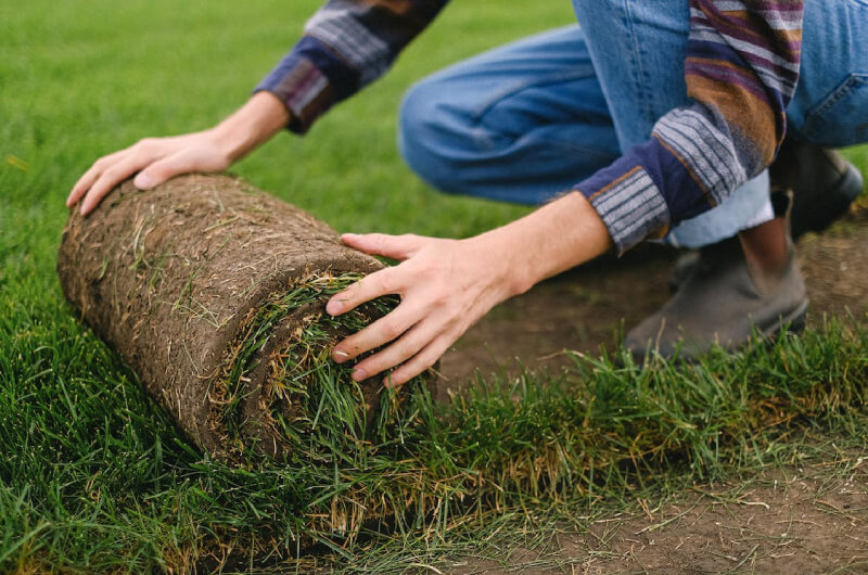 person performing lawn maintenance